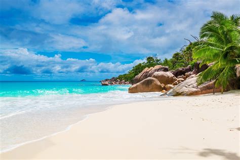 Beach In Seychelles