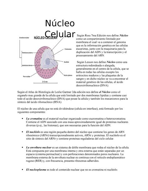 nucleo celular resumen histología texto y atlas según ross 7ma edición nos define núcleo