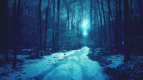 Wallpaper Trees Snow Path Darkness Dusk 2560x1600 Hd Picture Image