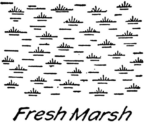 Fresh Water Marsh Topography Symbol Clipart Etc