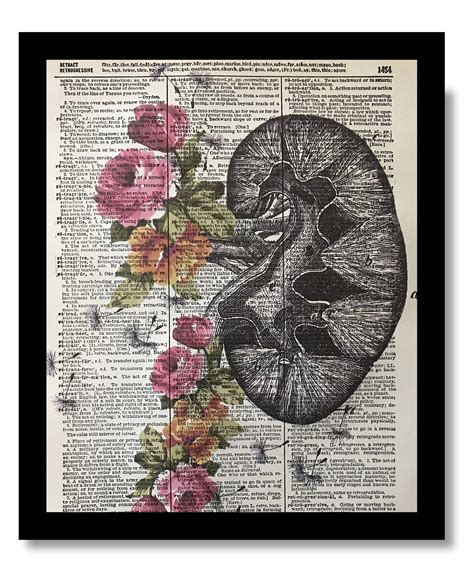 Anatomical Kidney Kidney Flower Print Medical Art Size 8x10 Etsy