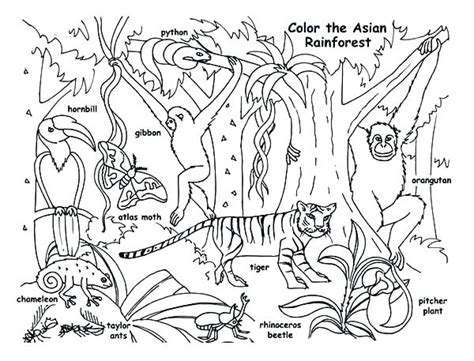 A cow, a hen, a duck, a goat, a horse and a pig. Orangutan Coloring Page at GetColorings.com | Free ...
