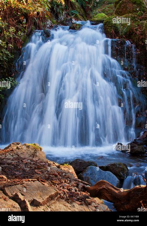 Tom Gill A Secluded Waterfall At Tarn Hows Stock Photo Alamy