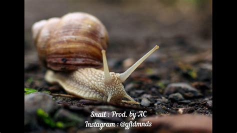 Three young women crush model cars barefoot and with sandals. Snail Prod by AC - YouTube
