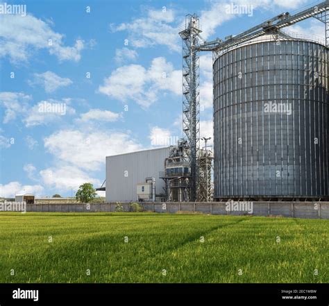 Agricultural Silos Building Exterior Storage And Drying Of Grains