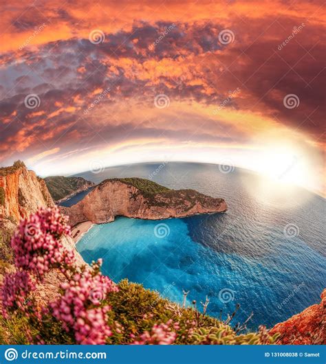 Navagio Beach With Shipwreck And Flowers On Zakynthos