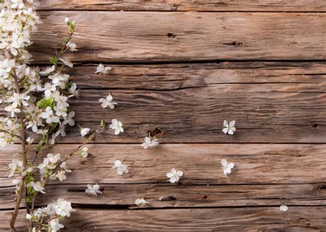 Rustic Wood Plank Backdrop With Flowers Vintage Photography Background