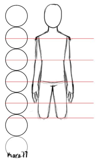 How to draw male body construction this video is a tutorial on how to draw male body construction for beginners music. How to Draw Accurate Human Body Proportions: 8 Steps