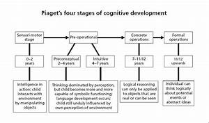 Piaget 39 S Cognitive Development Theory Examples Buscar Con Google