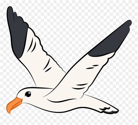 Download Flying Clipart Seagull Flying Seagull Clipart Png Download