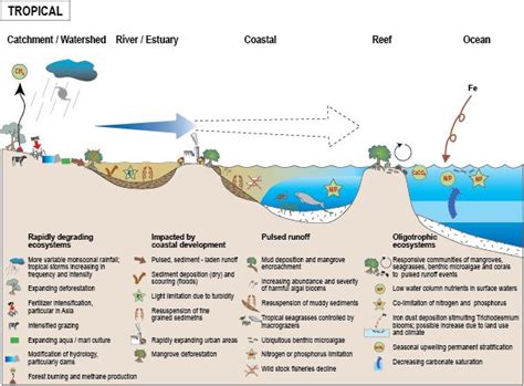32 Best Images About Ecosystems Systems Thinking On Pinterest Rhode