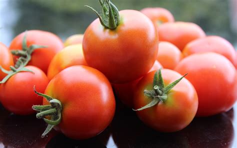 2560x1600 tomato, vegetable, ripe 2560x1600 Resolution Wallpaper, HD ...