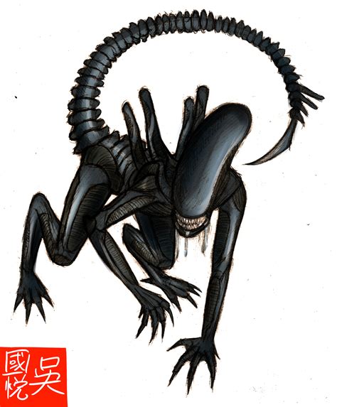 Xenomorph Sketch By Ndtwofives On Deviantart