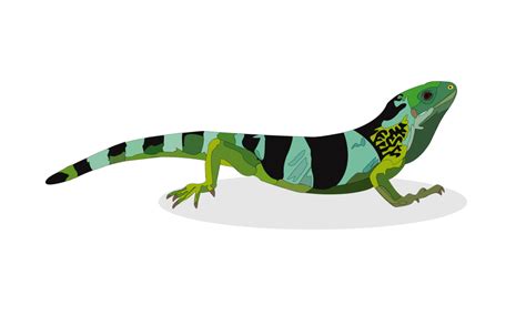 Tye Dyed Iguana Parocksramble Blog