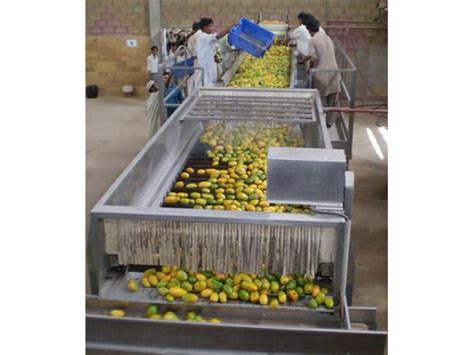 Mango Pulp Processing Line Mango Jam Making Equipment Jiadi Aseptic
