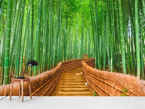 Bamboo Forest Kyoto Wallpaper Bamboo Forest Bamboo Landscape Buy Bamboo
