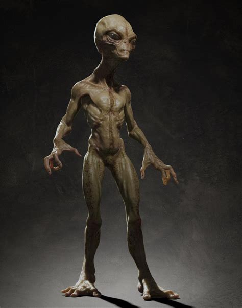 3d Rigging Skin Model Grey Alien Alien Creatures Skin Model