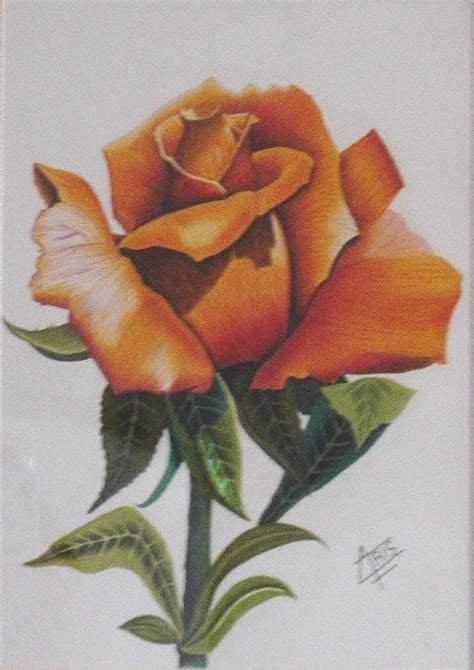 imagenes de rosas chidas para dibujar a lapiz dibujos de amor a lapiz imagenes en taringa
