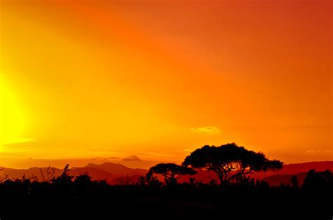 From the scenic sandy beaches at the coast, to the nairobi national park (the only one in a capital city in the world), to the majestic rift valley, the bird life in lake naivasha. Kenia, Mozambique y Sudáfrica: The Coca-Cola Company