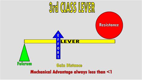 The 3 Classes Of Levers