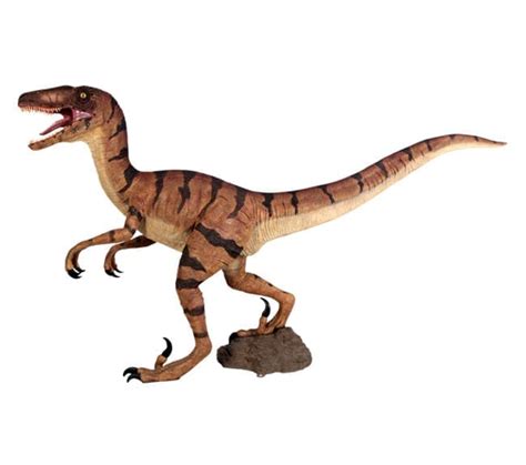 Velociraptor Dinosaur Standing Sculptures
