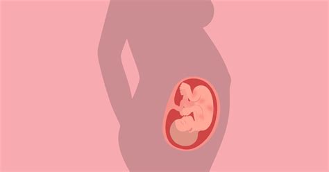 Payudara sakit saat hamil berapa minggu? Pembentukan Otak Janin Pada Usia Kehamilan Berapa ...
