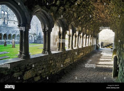 Sligo Dominican Friary Hi Res Stock Photography And Images Alamy