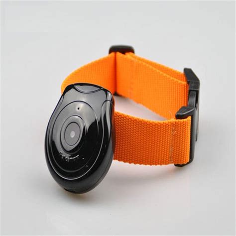 Useful Pet Collar With Mini Hd Camera Монитор Товары для собак Камера