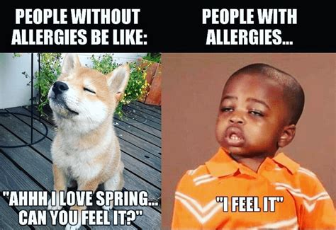 Spring Allergies Tree Of Life Wellness Center