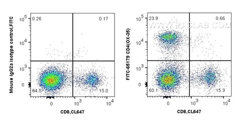 Cd4 Antibody Fitc 65179 Proteintech