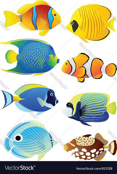 Set Tropical Fish Royalty Free Vector Image Vectorstock