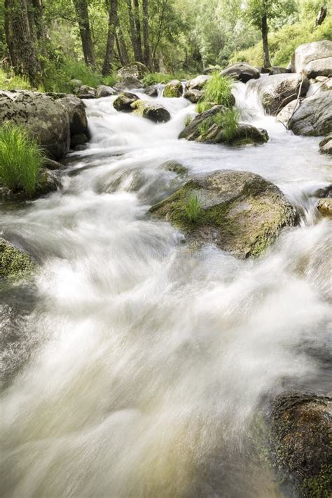 Water Running Down One River Rapids With Stones Stock Image Image Of