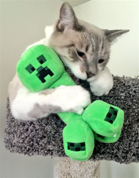 Cute Minecraft Cat Skins