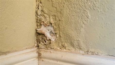 The first thing to do is to find out what the source of origin is. What Damp Issues to Look for Before Buying A House In The UK