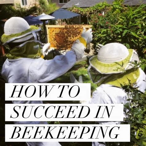 How To Succeed In Beekeeping Beekeeping Like A Girl