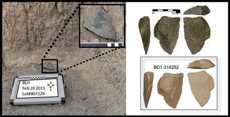 Oldest Flaked Stone Tools Point To The Repeated Invention Of Stone