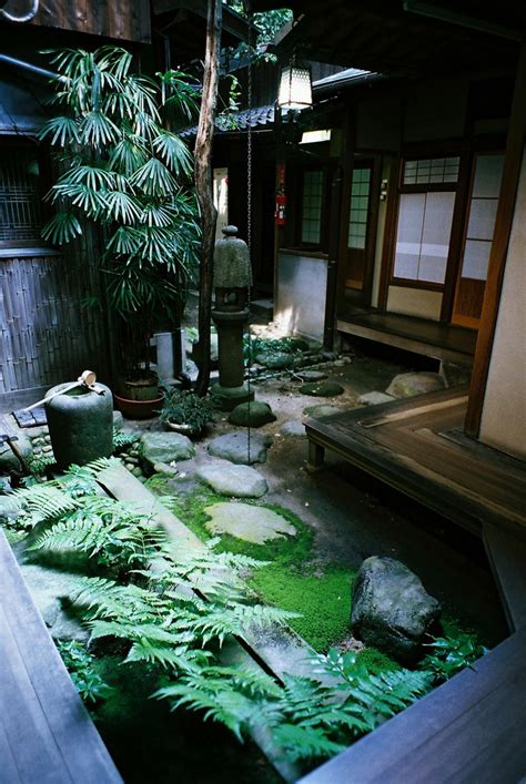 calm japanese inspired courtyard ideas digsdigs