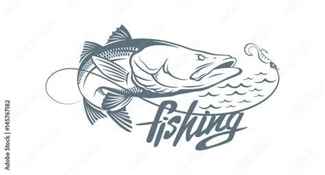Common Snook Fish Stock Vector Adobe Stock