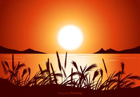 Vector Sunset Seascape Illustration Download Free Vector Art Stock