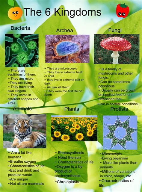 Check spelling or type a new query. The 6 kingdoms: 6, animals, archea, bacteria, biology, en ...