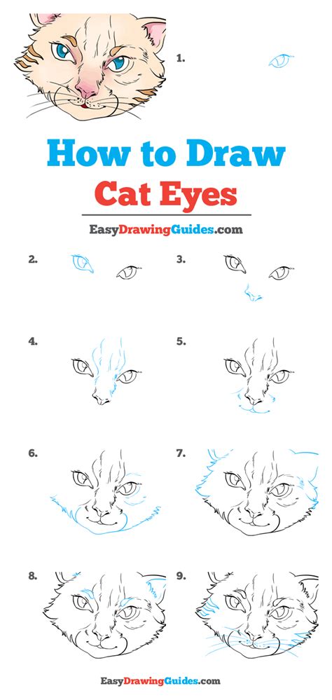 How To Draw Cat Eyes Really Easy Drawing Tutorial