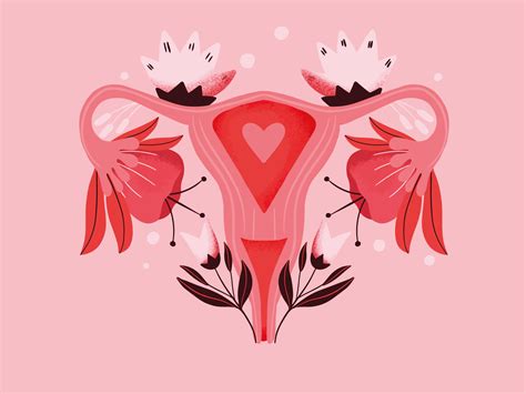 Illustration Female Reproductive System Floral A4 Etsy