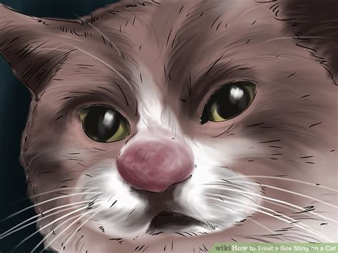 Begin soothing the site of the sting by using baking soda and water in a paste. How to Treat a Bee Sting on a Cat: 9 Steps (with Pictures)