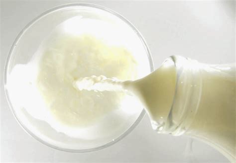 4 foods you can cook using semen because this is a real thing even if it seems like ~came~ out
