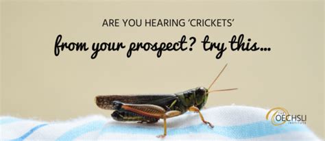 Are You Hearing ‘crickets From Your Prospect Try This