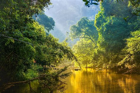 Inicia tu prueba de amazon prime gratis. How Much Of The Amazon Rainforest Is Left? - WorldAtlas