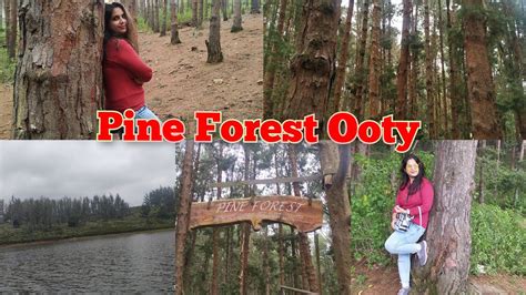 Raaz Movie Shooting Point Ooty Pine Forest Lake With Beautiful