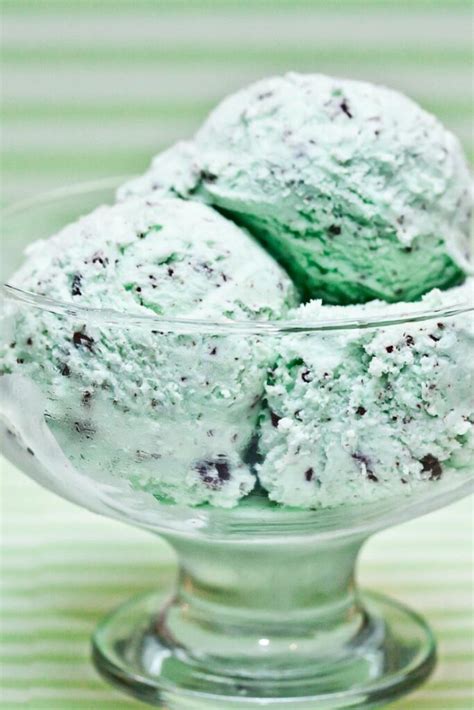 Homemade Mint Chocolate Chip Ice Cream Chew Out Loud