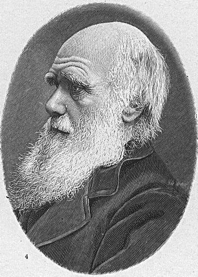 Filehw Darwin Wikipedia