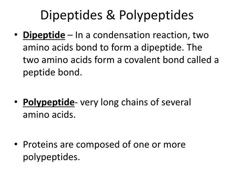 Ppt Chapter 3 Biochemistry Powerpoint Presentation Free Download